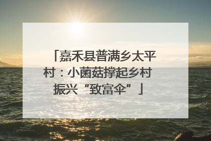 嘉禾县普满乡太平村：小菌菇撑起乡村振兴“致富伞”