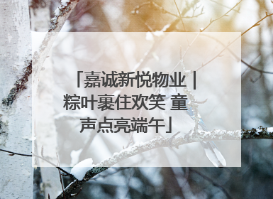 嘉诚新悦物业｜粽叶裹住欢笑 童声点亮端午