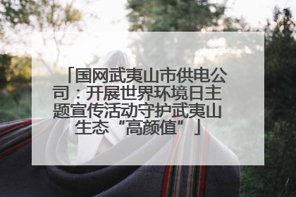 国网武夷山市供电公司：开展世界环境日主题宣传活动守护武夷山生态“高颜值”