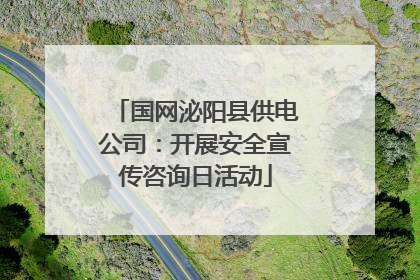 国网泌阳县供电公司：开展安全宣传咨询日活动