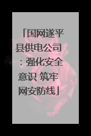 国网遂平县供电公司：强化安全意识 筑牢网安防线