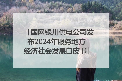 国网银川供电公司发布2024年服务地方经济社会发展白皮书