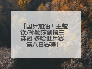 国乒加油！王楚钦/孙颖莎剑指三连冠 多哈世乒赛第八日赛程