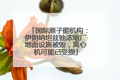 国际原子能机构：伊朗纳坦兹铀浓缩厂地面设施被毁，离心机可能已受损