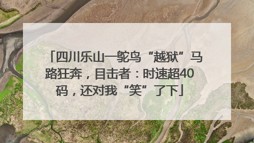 四川乐山一鸵鸟“越狱”马路狂奔，目击者：时速超40码，还对我“笑”了下
