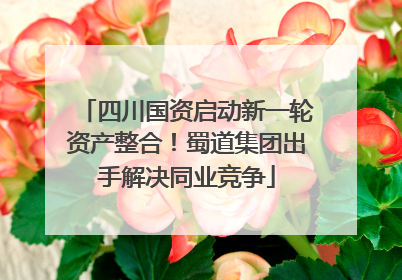 四川国资启动新一轮资产整合！蜀道集团出手解决同业竞争