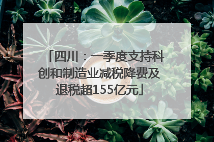 四川：一季度支持科创和制造业减税降费及退税超155亿元
