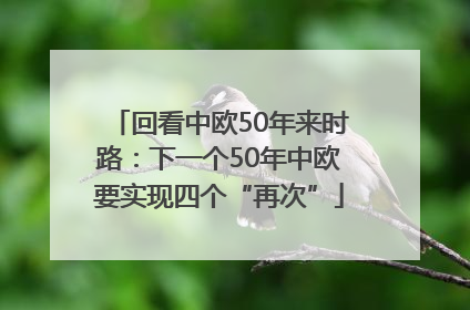 回看中欧50年来时路：下一个50年中欧要实现四个“再次”