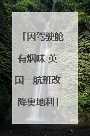 因驾驶舱有烟味 英国一航班改降奥地利