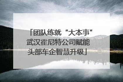 团队练就“大本事” 武汉霍尼特公司赋能头部车企智慧升级
