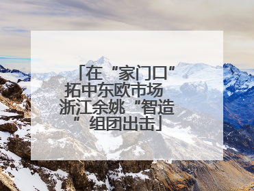 在“家门口”拓中东欧市场 浙江余姚“智造”组团出击