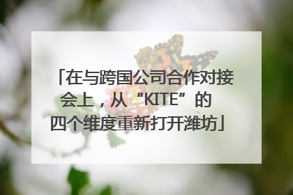 在与跨国公司合作对接会上，从“KITE”的四个维度重新打开潍坊