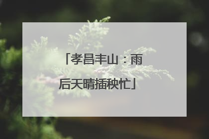 孝昌丰山：雨后天晴插秧忙