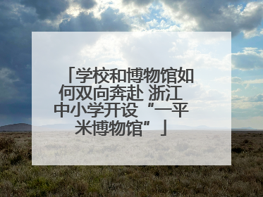 学校和博物馆如何双向奔赴 浙江中小学开设“一平米博物馆”
