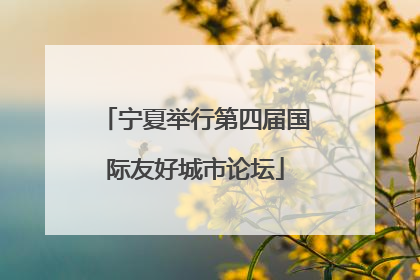 宁夏举行第四届国际友好城市论坛