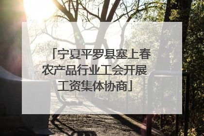 宁夏平罗县塞上春农产品行业工会开展工资集体协商