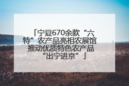 宁夏670余款“六特”农产品亮相农展馆 推动优质特色农产品“出宁进京”