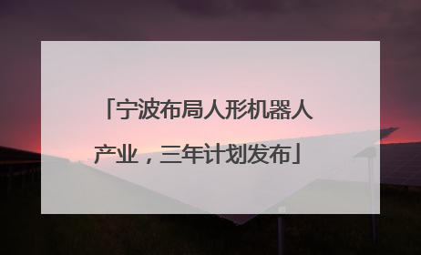 宁波布局人形机器人产业，三年计划发布