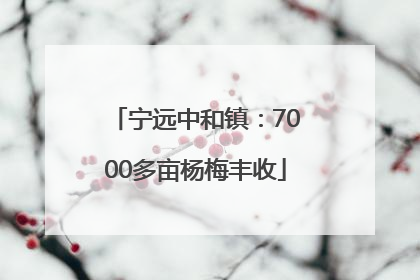 宁远中和镇：7000多亩杨梅丰收