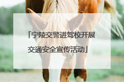 宁陵交警进驾校开展交通安全宣传活动