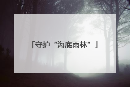 守护“海底雨林”
