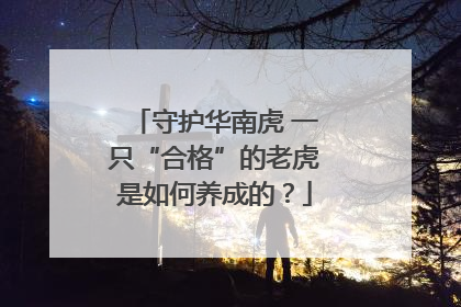 守护华南虎 一只“合格”的老虎是如何养成的？