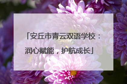 安丘市青云双语学校：润心赋能，护航成长