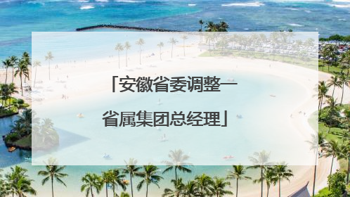 安徽省委调整一省属集团总经理