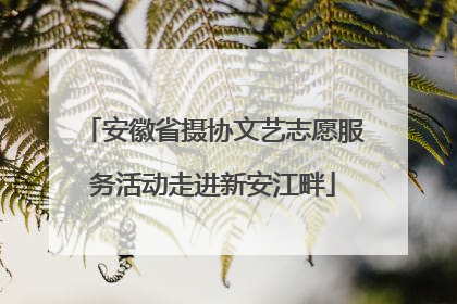 安徽省摄协文艺志愿服务活动走进新安江畔
