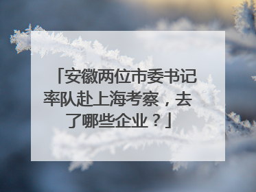 安徽两位市委书记率队赴上海考察，去了哪些企业？