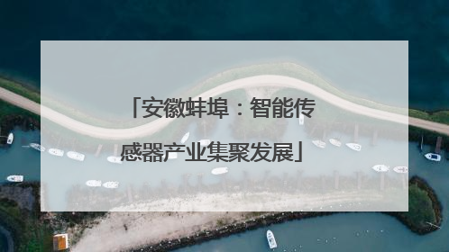安徽蚌埠：智能传感器产业集聚发展