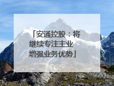 安通控股：将继续专注主业 增强业务优势