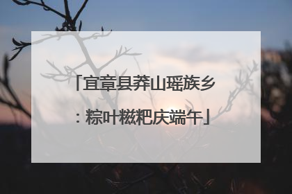 宜章县莽山瑶族乡：粽叶糍粑庆端午