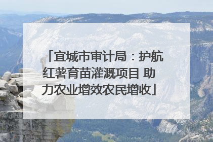 宜城市审计局：护航红薯育苗灌溉项目 助力农业增效农民增收