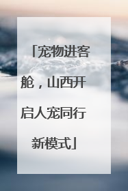 宠物进客舱，山西开启人宠同行新模式