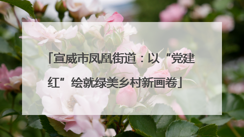 宣威市凤凰街道：以“党建红”绘就绿美乡村新画卷