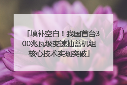 填补空白！我国首台300兆瓦级变速抽蓄机组核心技术实现突破