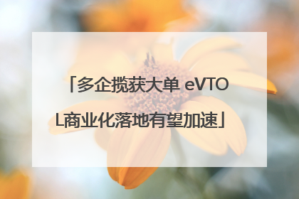 多企揽获大单 eVTOL商业化落地有望加速
