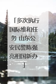 多次执行国际维和任务 山东公安民警陈强亮相国新办