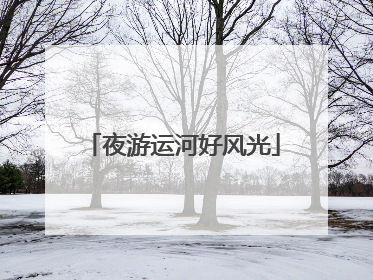 夜游运河好风光