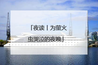 夜读丨为萤火虫哭泣的夜晚