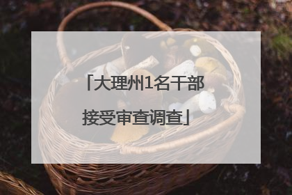 大理州1名干部接受审查调查