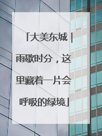 大美东城｜雨歇时分，这里藏着一片会呼吸的绿境