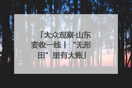 大众观察·山东麦收一线丨“无形田”里有大账