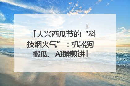 大兴西瓜节的“科技烟火气”：机器狗搬瓜、AI摊煎饼