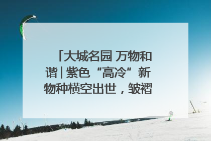 大城名园 万物和谐│紫色“高冷”新物种横空出世，皱褶叶片暗藏进化密码