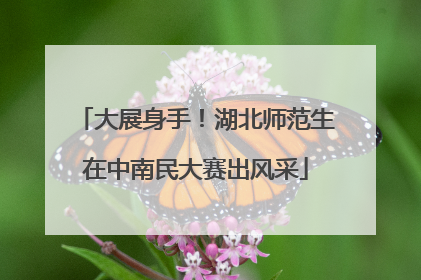 大展身手！湖北师范生在中南民大赛出风采