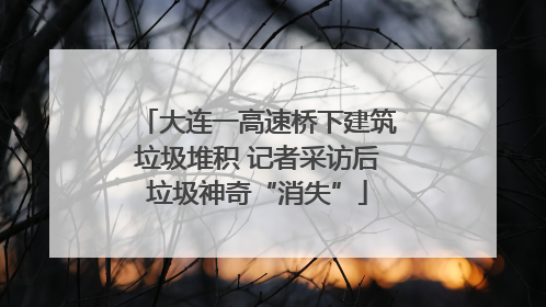 大连一高速桥下建筑垃圾堆积 记者采访后垃圾神奇“消失”