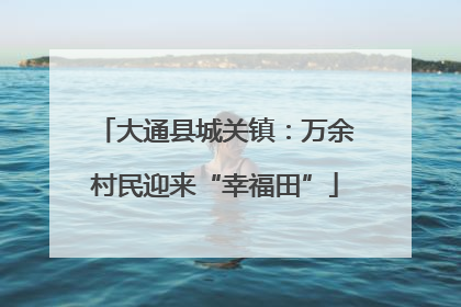 大通县城关镇：万余村民迎来“幸福田”