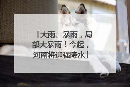大雨、暴雨，局部大暴雨！今起，河南将迎强降水